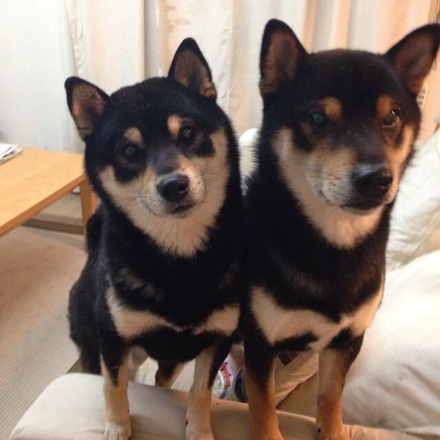 AIYOUXI.COM-_掘金攻守两端表现出色，士气高昂_，掘金mpj