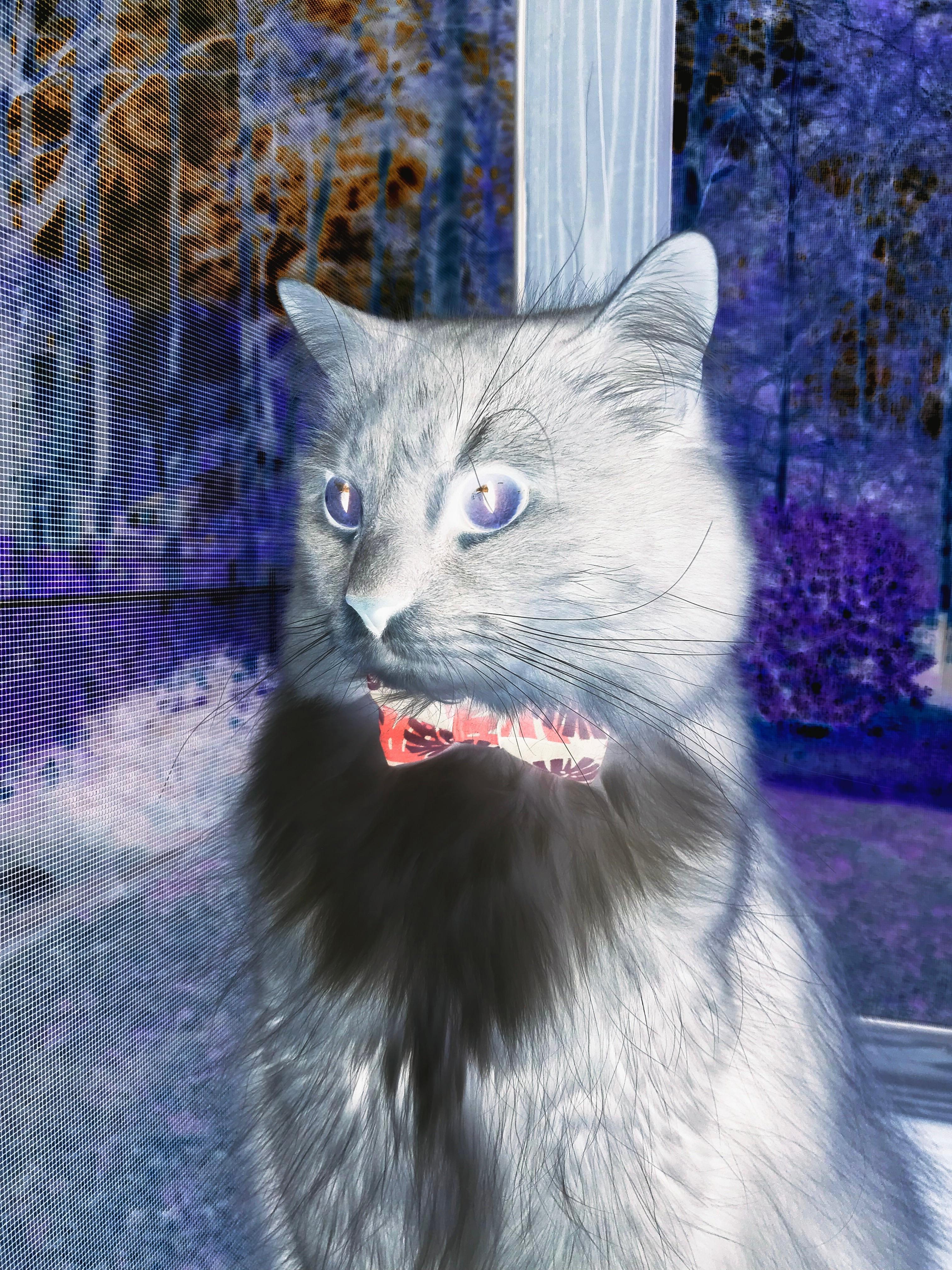 【丁俊晖专属训练】如何练出精准控制母球的绝技?,丁俊晖教程