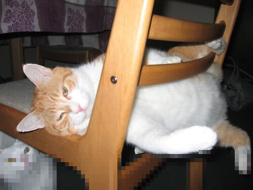 爱游戏下载-中国足球智库发布年度分析报告，中国足球论坛